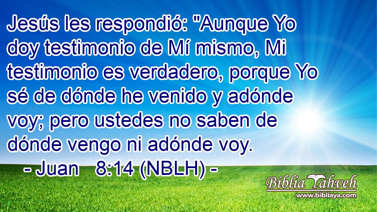  Jesús les respondió: 