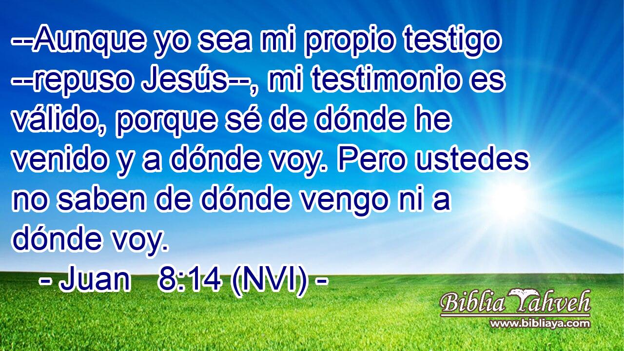  --Aunque yo sea mi propio testigo --repuso Jesús--, mi testimonio es válido, porque sé de dónde he venido y a dónde voy. Pero ustedes no saben de dónde vengo ni a dónde voy. 