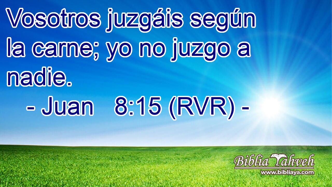 Vosotros juzgáis según la carne; yo no juzgo a nadie.