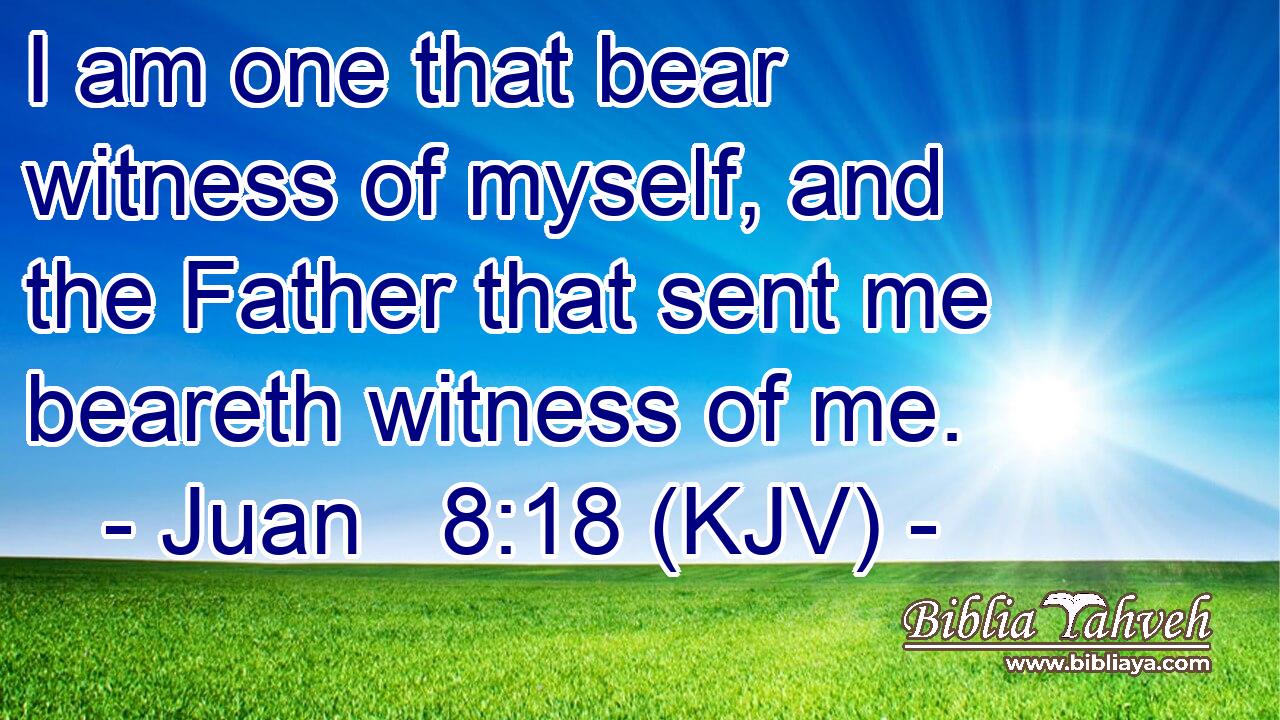 I am one that bear witness of myself, and the Father that sent me beareth witness of me.