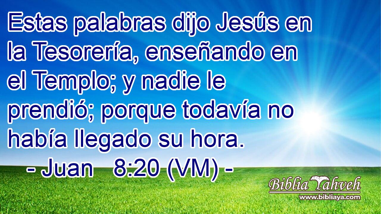  Estas palabras dijo Jesús en la Tesorería, enseñando en el Templo; y nadie le prendió; porque todavía no había llegado su hora. 