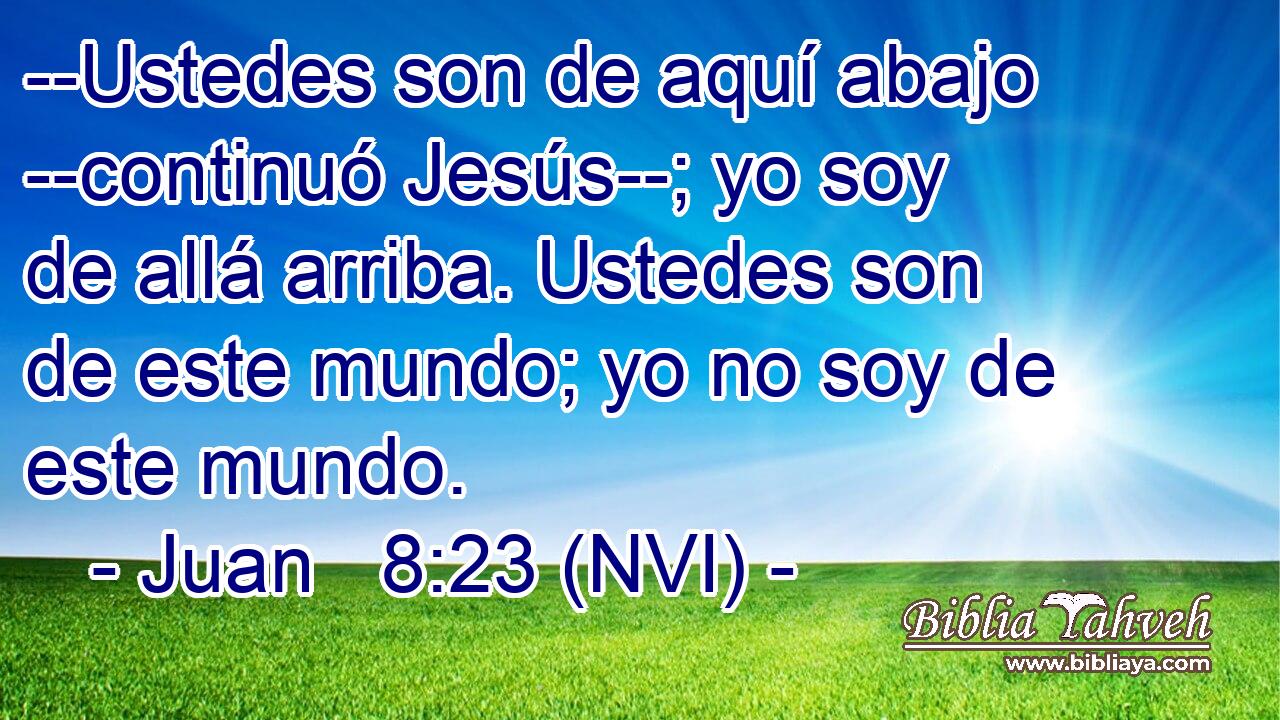 --Ustedes son de aquí abajo --continuó Jesús--; yo soy de allá arriba. Ustedes son de este mundo; yo no soy de este mundo. 