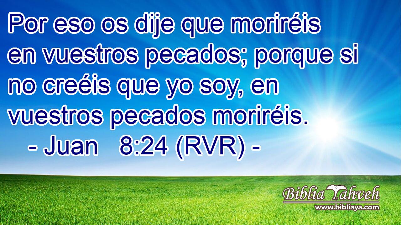 Por eso os dije que moriréis en vuestros pecados; porque si no creéis que yo soy, en vuestros pecados moriréis.