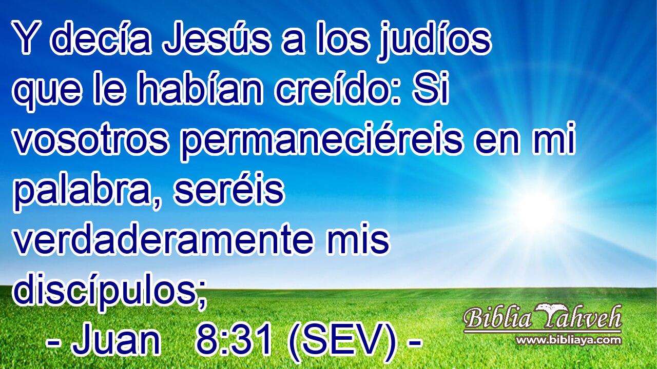 Y decía Jesús a los judíos que le habían creído: Si vosotros permaneciéreis en mi palabra, seréis verdaderamente mis discípulos;