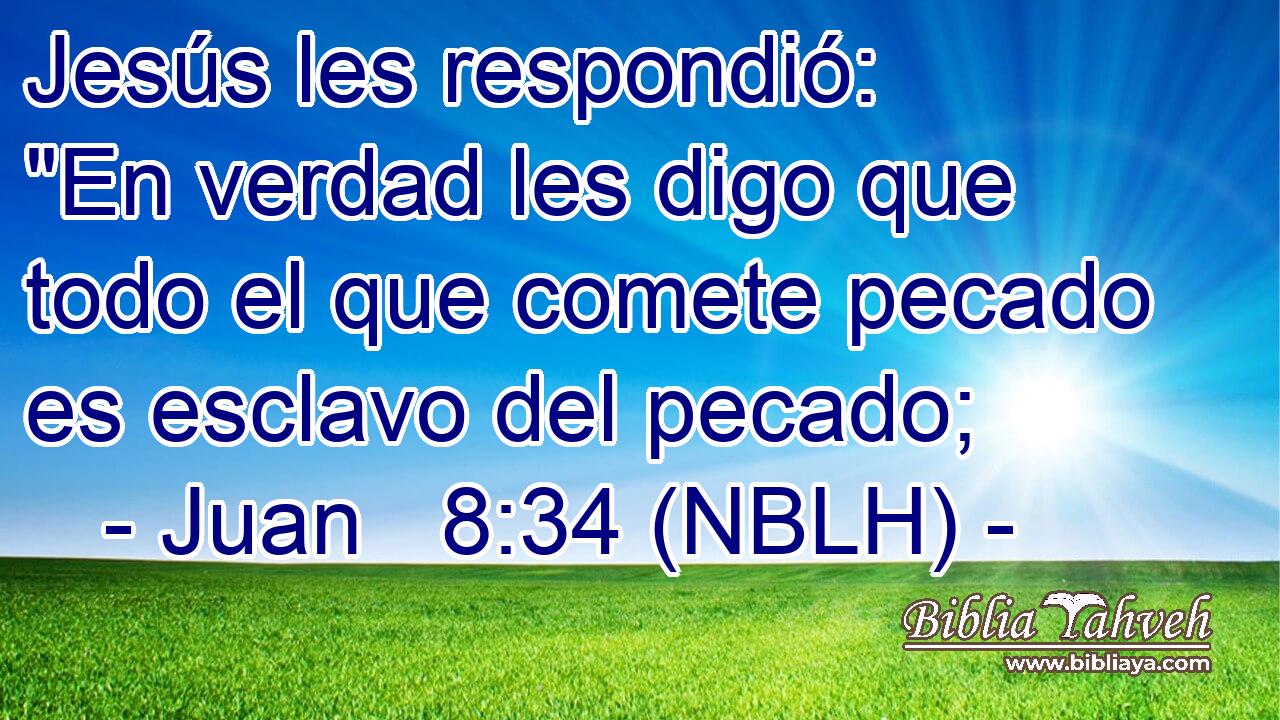  Jesús les respondió: 
