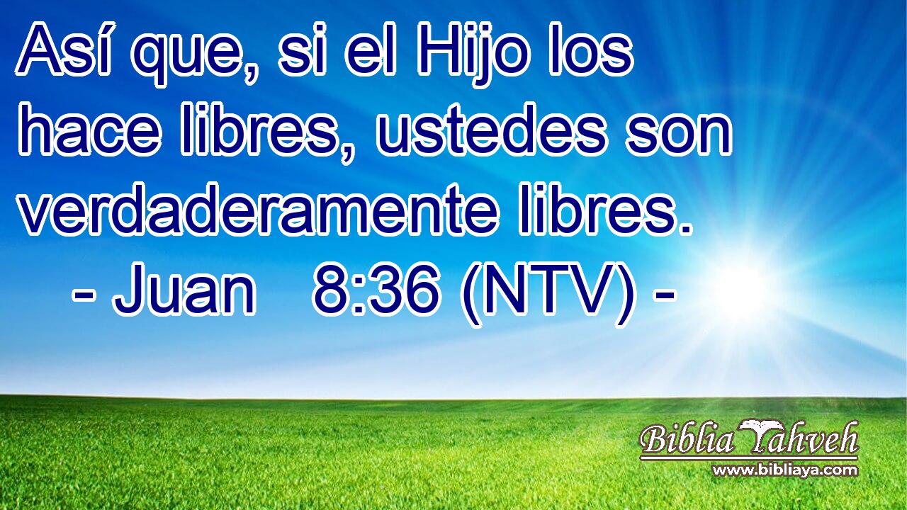 Así que, si el Hijo los hace libres, ustedes son verdaderamente libres.