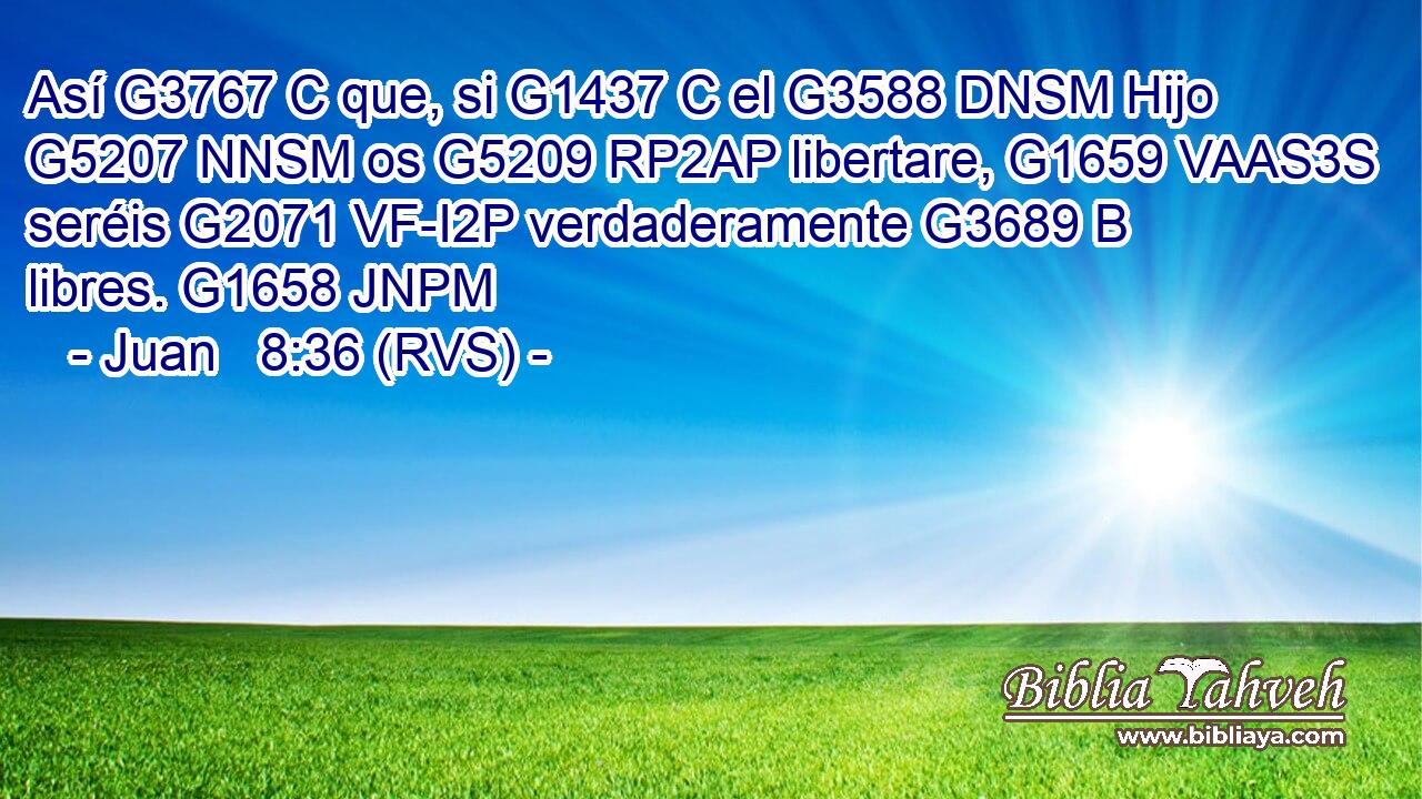 Así G3767 C que, si G1437 C el G3588 DNSM Hijo G5207 NNSM os G5209 RP2AP libertare, G1659 VAAS3S seréis G2071 VF-I2P verdaderamente G3689 B libres. G1658 JNPM 