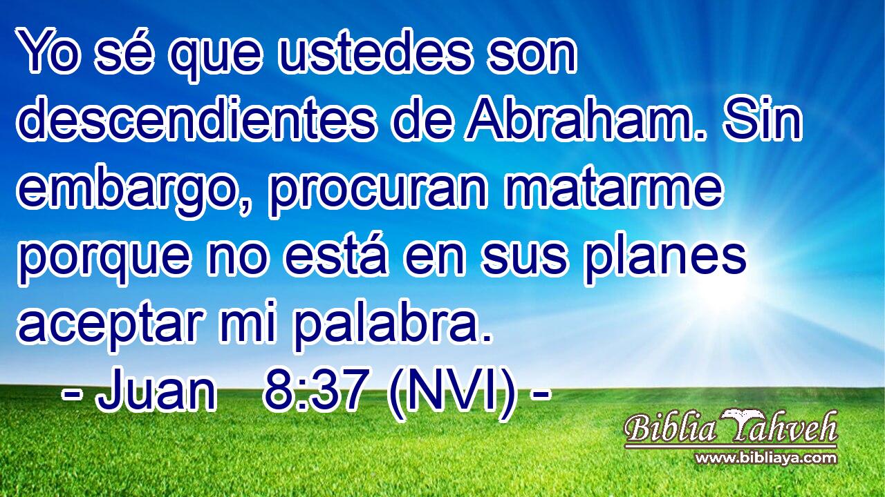  Yo sé que ustedes son descendientes de Abraham. Sin embargo, procuran matarme porque no está en sus planes aceptar mi palabra. 