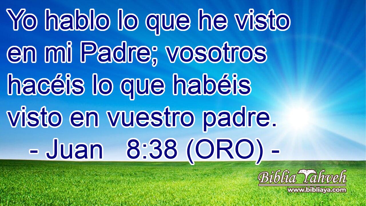  Yo hablo lo que he visto en mi Padre; vosotros hacéis lo que habéis visto en vuestro padre. 