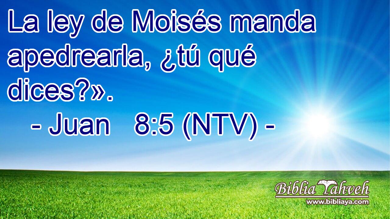 La ley de Moisés manda apedrearla, ¿tú qué dices?».