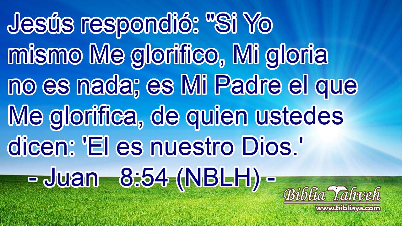  Jesús respondió: 