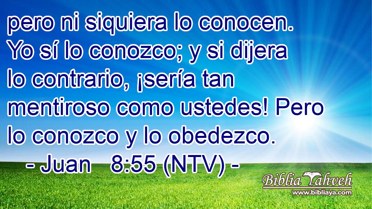 pero ni siquiera lo conocen. Yo sí lo conozco; y si dijera lo contrario, ¡sería tan mentiroso como ustedes! Pero lo conozco y lo obedezco.