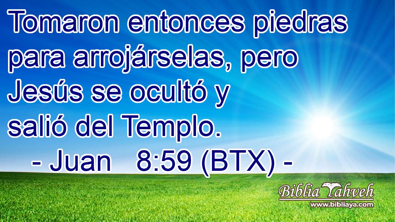 Tomaron entonces piedras para arrojárselas, pero Jesús se ocultó y salió del Templo.