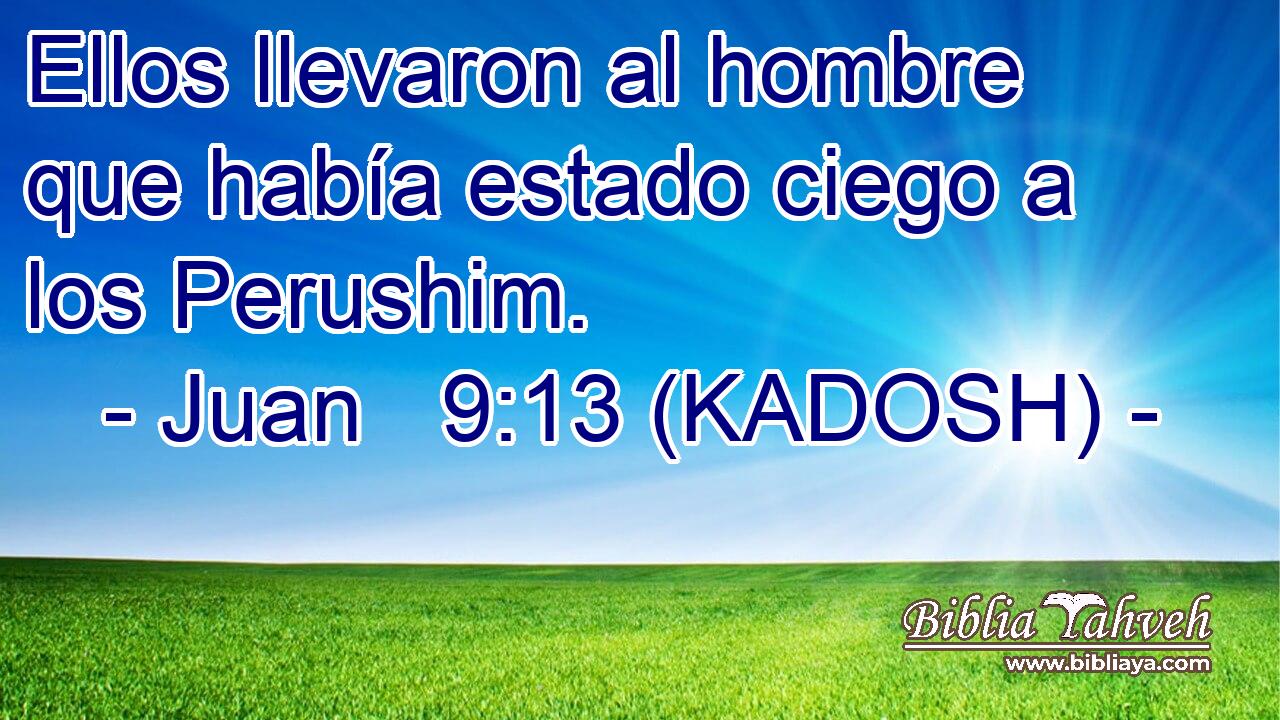  Ellos llevaron al hombre que había estado ciego a los Perushim. 