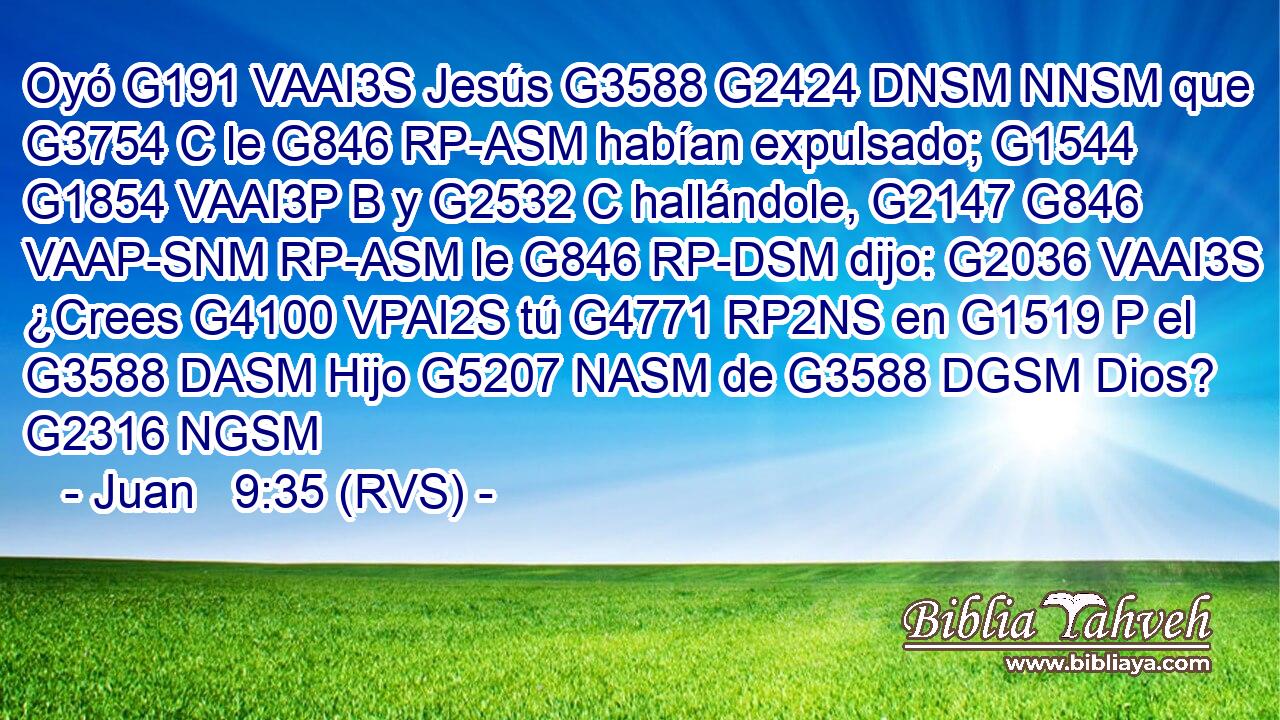 Oyó G191 VAAI3S Jesús G3588 G2424 DNSM NNSM que G3754 C le G846 RP-ASM habían expulsado; G1544 G1854 VAAI3P B y G2532 C hallándole, G2147 G846 VAAP-SNM RP-ASM le G846 RP-DSM dijo: G2036 VAAI3S ¿Crees G4100 VPAI2S tú G4771 RP2NS en G1519 P el G3588 DASM Hijo G5207 NASM de G3588 DGSM Dios? G2316 NGSM 