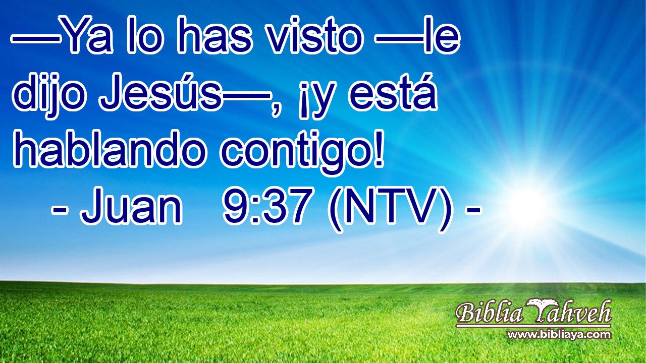 —Ya lo has visto —le dijo Jesús—, ¡y está hablando contigo!