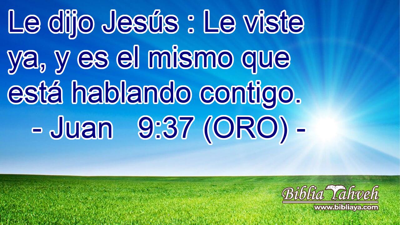  Le dijo Jesús : Le viste ya, y es el mismo que está hablando contigo. 