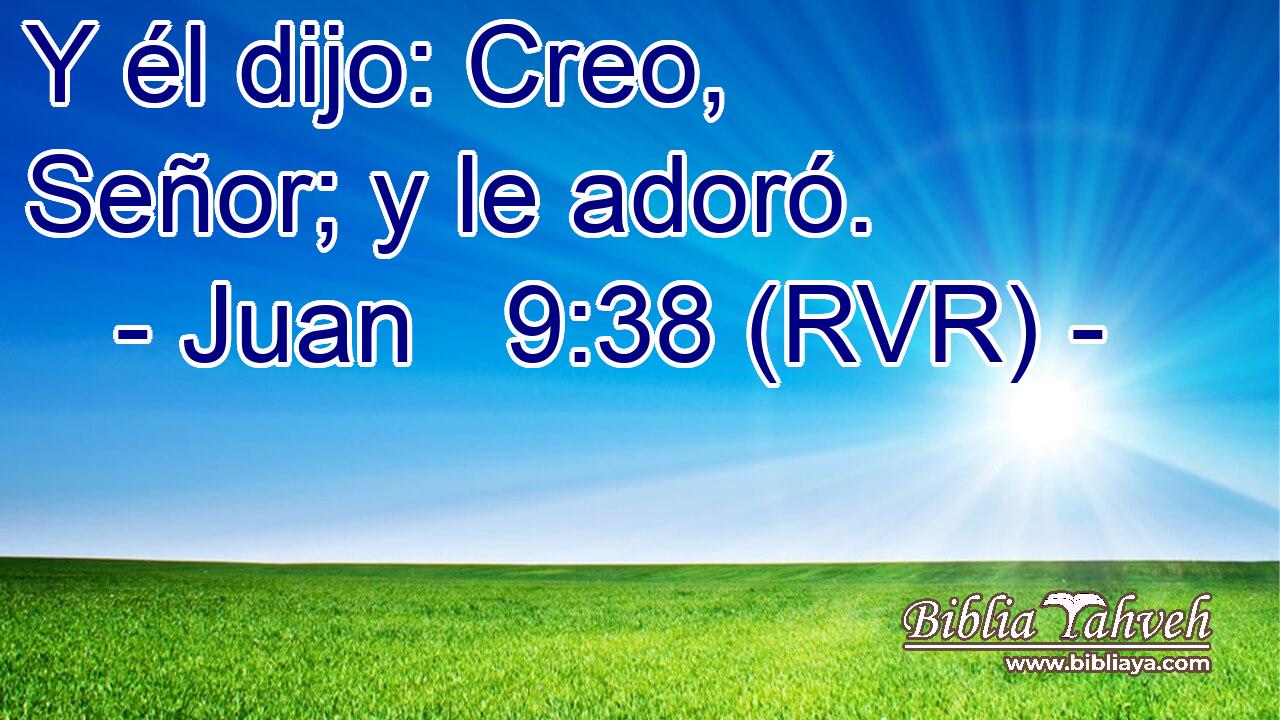 Y él dijo: Creo, Señor; y le adoró.