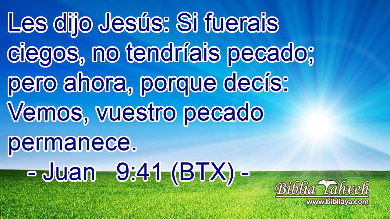 Les dijo Jesús: Si fuerais ciegos, no tendríais pecado; pero ahora, porque decís: Vemos, vuestro pecado permanece.