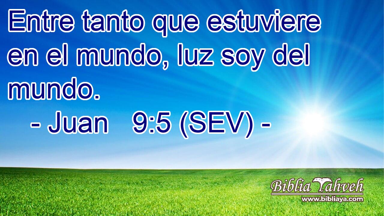Entre tanto que estuviere en el mundo, luz soy del mundo.