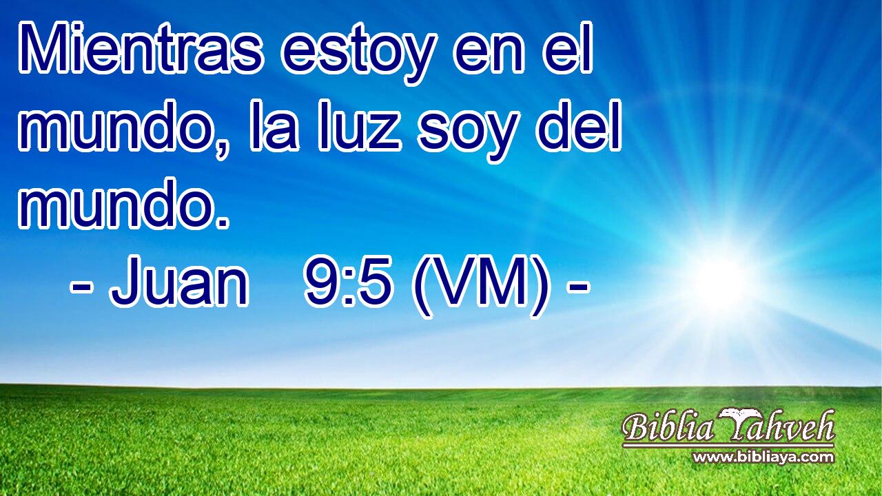  Mientras estoy en el mundo, la luz soy del mundo. 