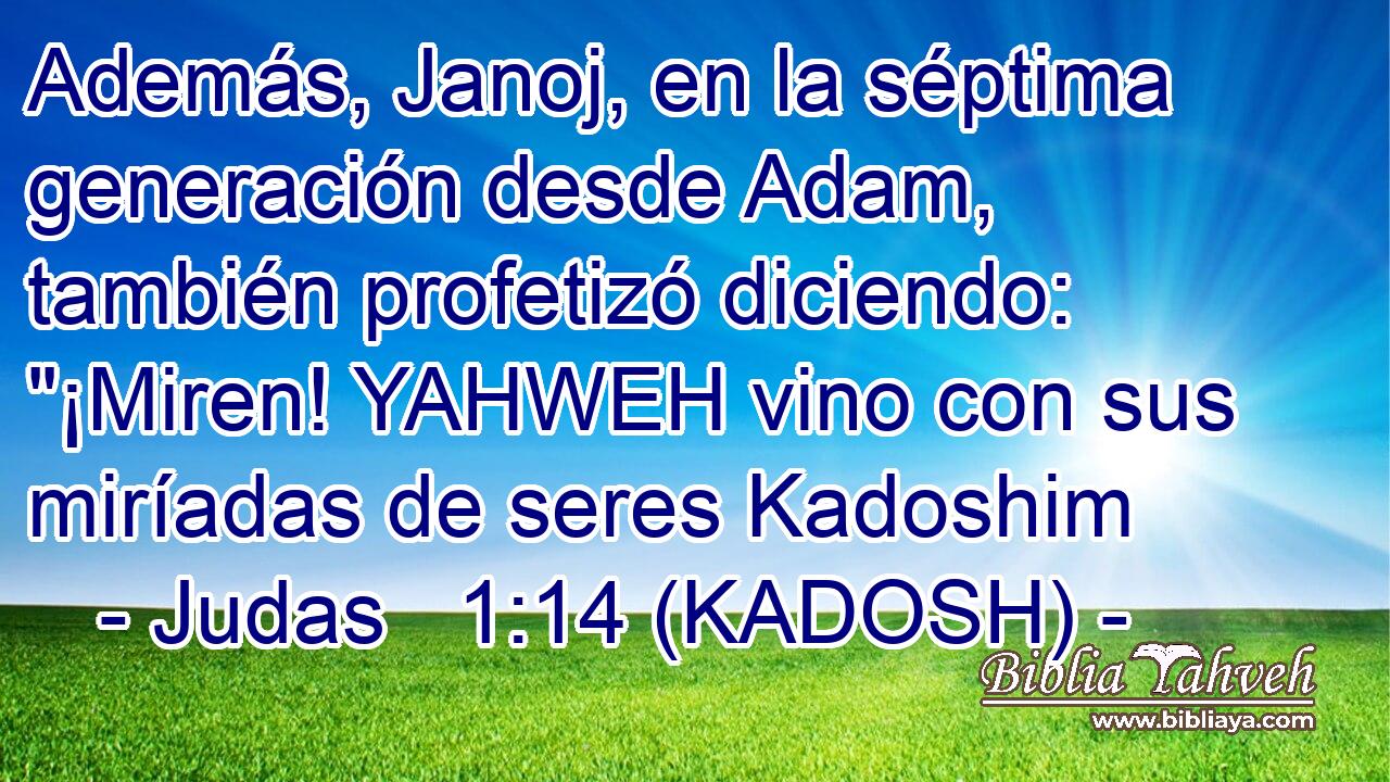 Además, Janoj, en la séptima generación desde Adam, también profetizó diciendo: 