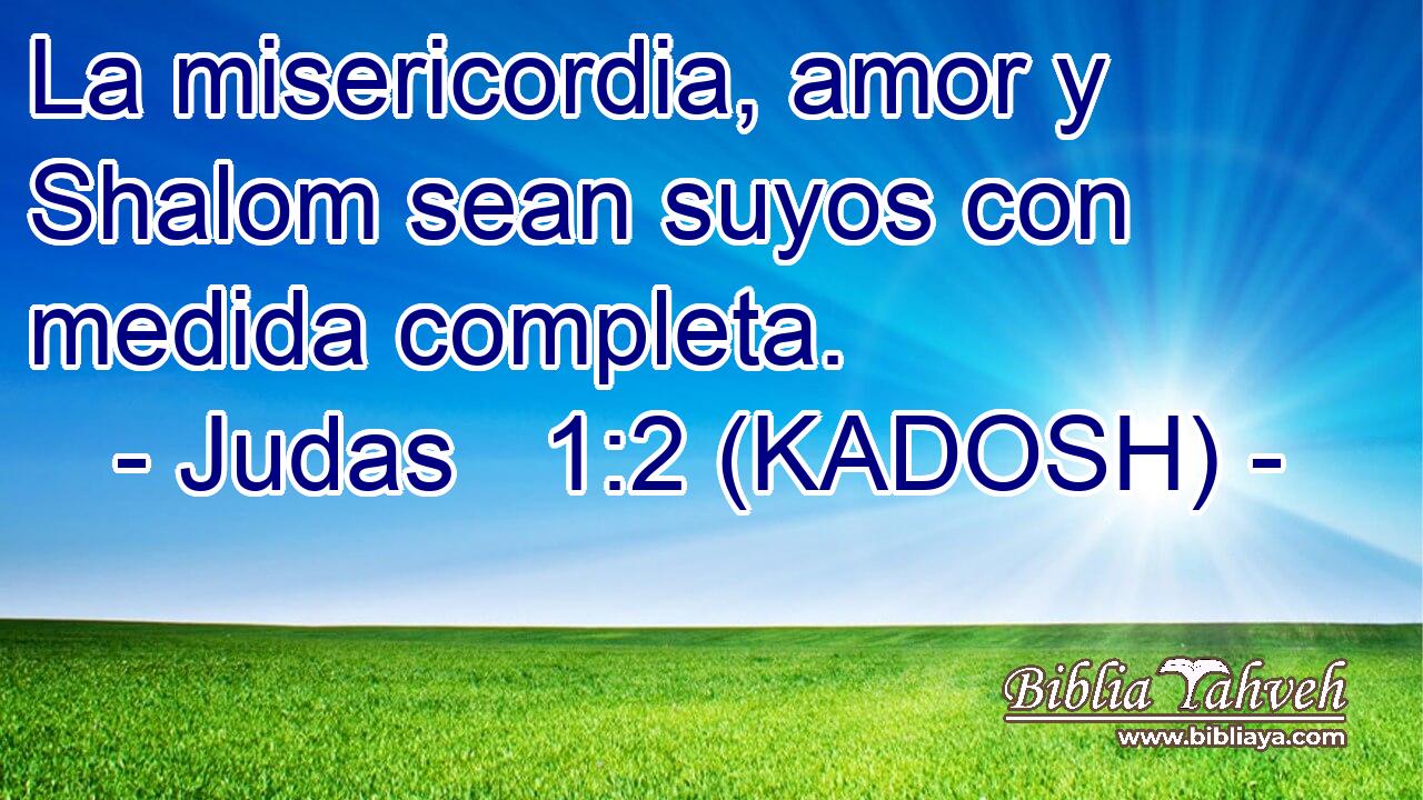  La misericordia, amor y Shalom sean suyos con medida completa. 