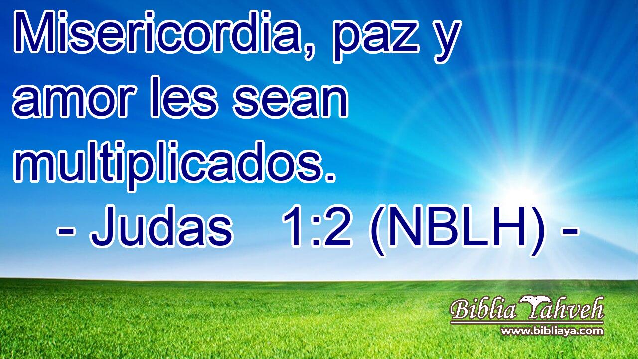  Misericordia, paz y amor les sean multiplicados. 