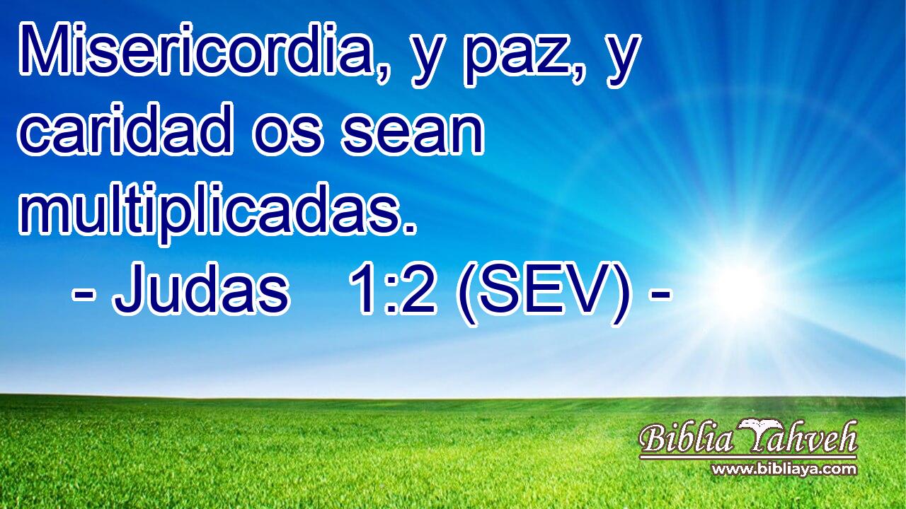 Misericordia, y paz, y caridad os sean multiplicadas.