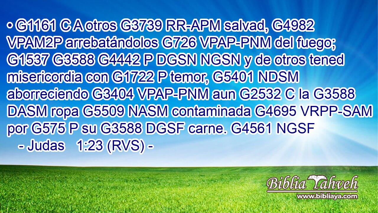• G1161 C A otros G3739 RR-APM salvad, G4982 VPAM2P arrebatándolos G726 VPAP-PNM del fuego; G1537 G3588 G4442 P DGSN NGSN y de otros tened misericordia con G1722 P temor, G5401 NDSM aborreciendo G3404 VPAP-PNM aun G2532 C la G3588 DASM ropa G5509 NASM contaminada G4695 VRPP-SAM por G575 P su G3588 DGSF carne. G4561 NGSF 