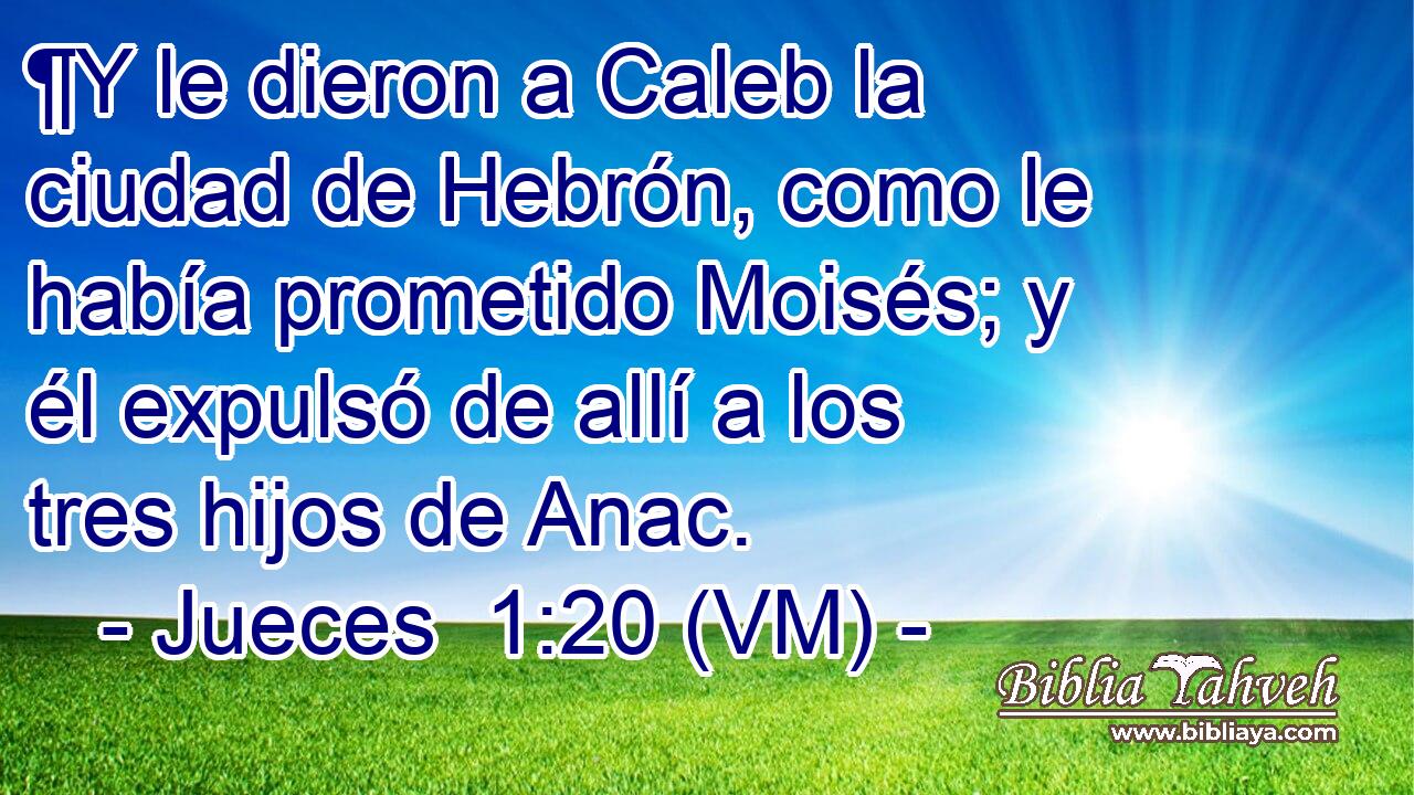  ¶Y le dieron a Caleb la ciudad de Hebrón, como le había prometido Moisés; y él expulsó de allí a los tres hijos de Anac. 