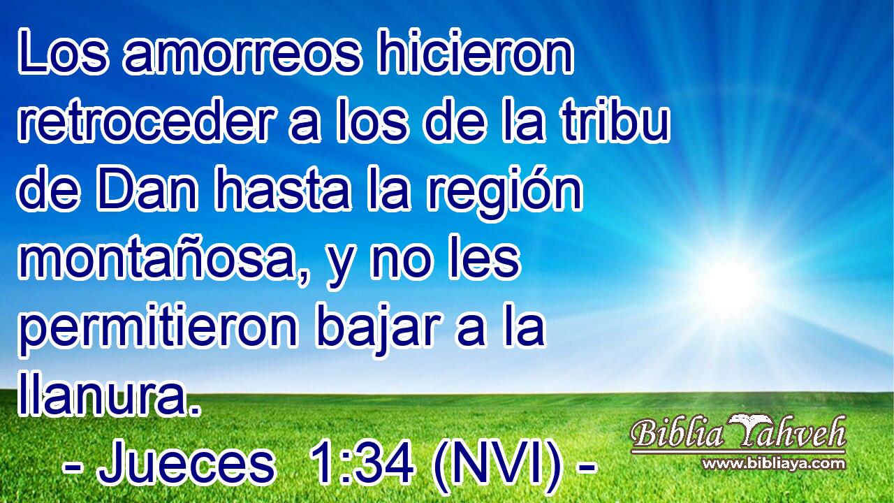  Los amorreos hicieron retroceder a los de la tribu de Dan hasta la región montañosa, y no les permitieron bajar a la llanura. 