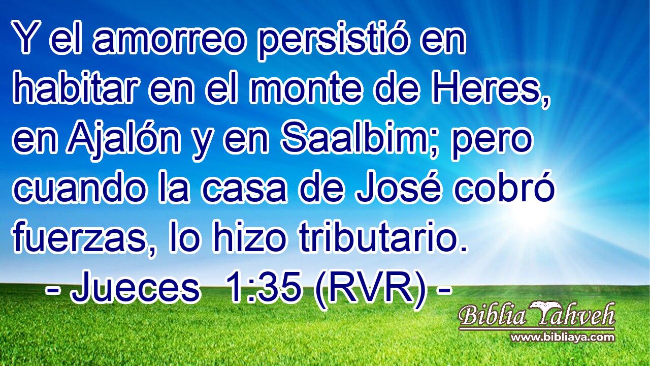 Y el amorreo persistió en habitar en el monte de Heres, en Ajalón y en Saalbim; pero cuando la casa de José cobró fuerzas, lo hizo tributario.