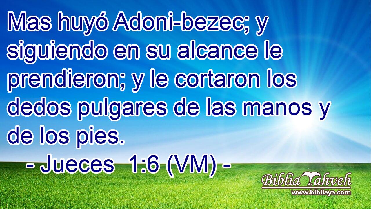  Mas huyó Adoni-bezec; y siguiendo en su alcance le prendieron; y le cortaron los dedos pulgares de las manos y de los pies. 