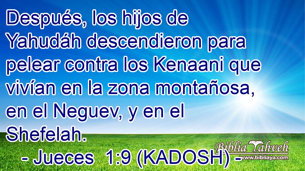  Después, los hijos de Yahudáh descendieron para pelear contra los Kenaani que vivían en la zona montañosa, en el Neguev, y en el Shefelah. 