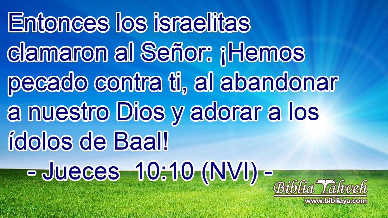 Entonces los israelitas clamaron al Señor: ¡Hemos pecado contra ti, al abandonar a nuestro Dios y adorar a los ídolos de Baal! 
