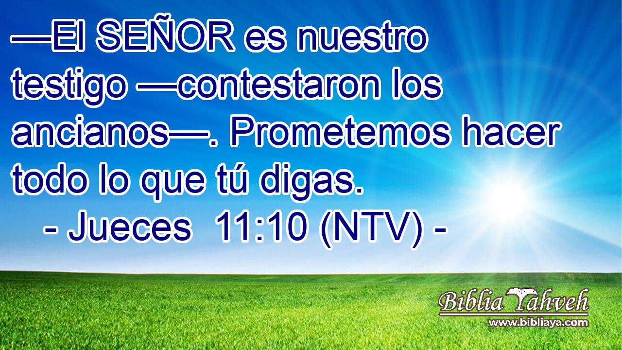 —El SEÑOR es nuestro testigo —contestaron los ancianos—. Prometemos hacer todo lo que tú digas.