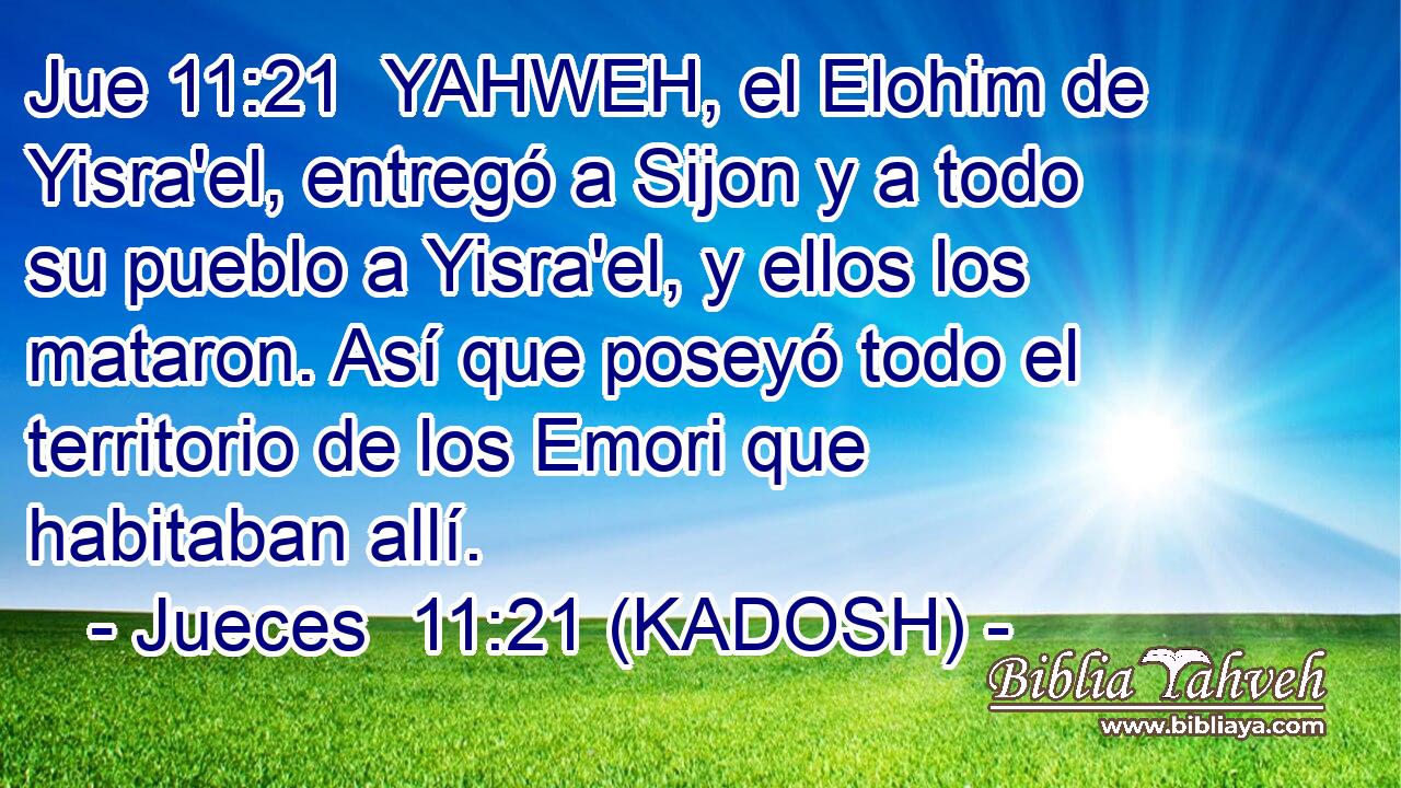  YAHWEH, el Elohim de Yisra'el, entregó a Sijon y a todo su pueblo a Yisra'el, y ellos los mataron. Así que poseyó todo el territorio de los Emori que habitaban allí. 