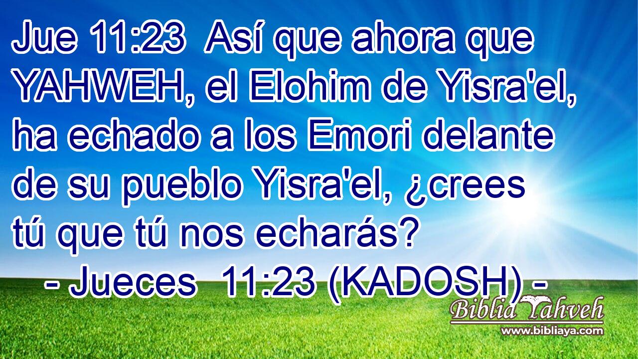  Así que ahora que YAHWEH, el Elohim de Yisra'el, ha echado a los Emori delante de su pueblo Yisra'el, ¿crees tú que tú nos echarás? 