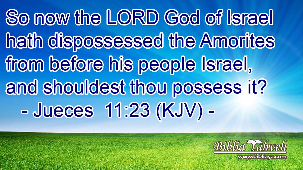 So now the LORD God of Israel hath dispossessed the Amorites from before his people Israel, and shouldest thou possess it?