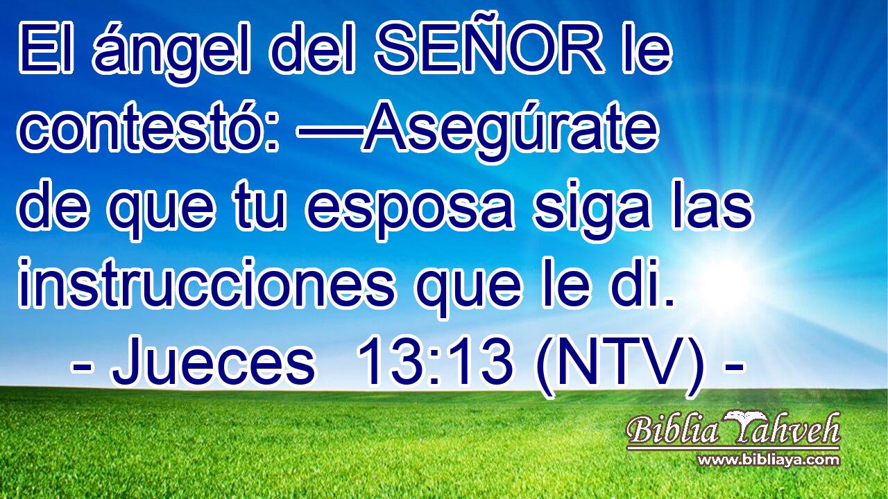 El ángel del SEÑOR le contestó: —Asegúrate de que tu esposa siga las instrucciones que le di.
