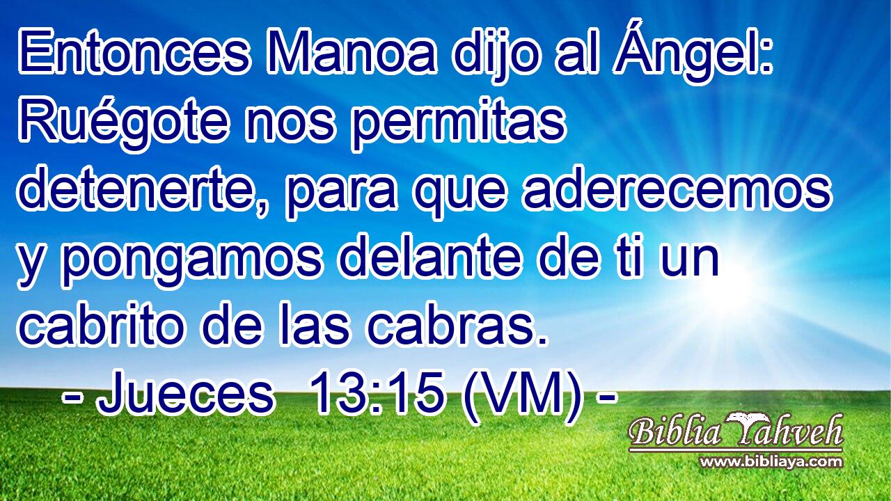  Entonces Manoa dijo al Ángel: Ruégote nos permitas detenerte, para que aderecemos y pongamos delante de ti un cabrito de las cabras. 
