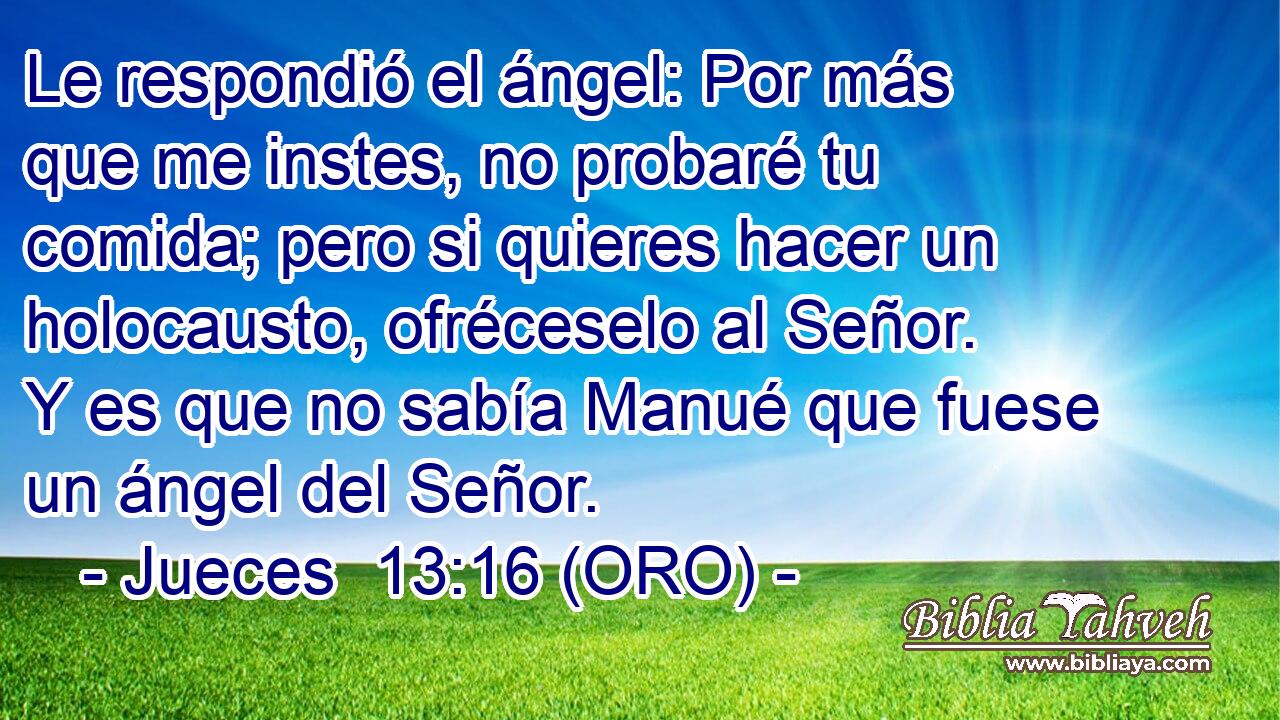  Le respondió el ángel: Por más que me instes, no probaré tu comida; pero si quieres hacer un holocausto, ofréceselo al Señor. Y es que no sabía Manué que fuese un ángel del Señor. 