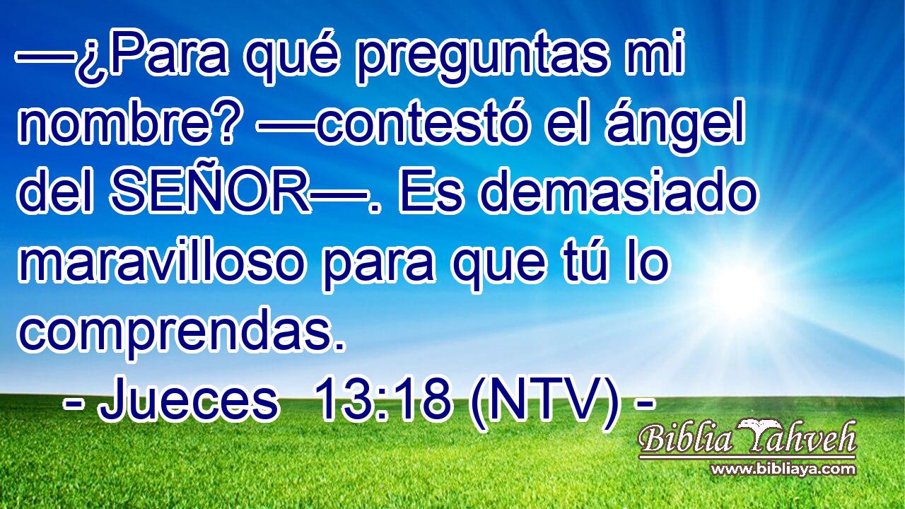 —¿Para qué preguntas mi nombre? —contestó el ángel del SEÑOR—. Es demasiado maravilloso para que tú lo comprendas.