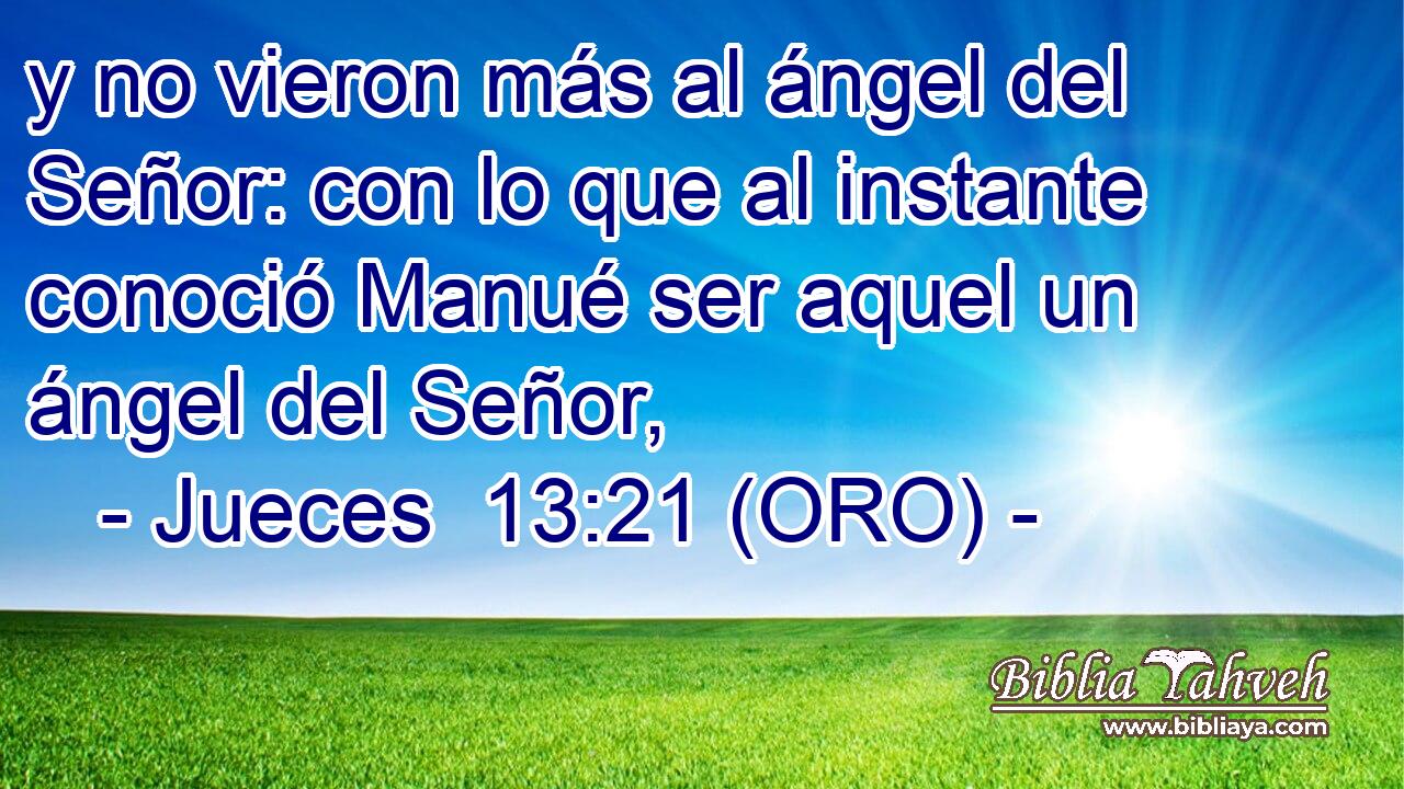  y no vieron más al ángel del Señor: con lo que al instante conoció Manué ser aquel un ángel del Señor, 