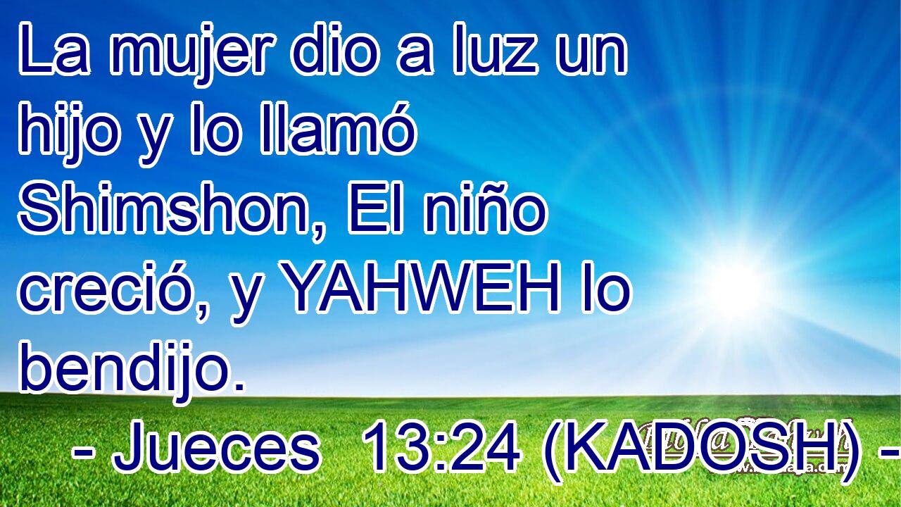  La mujer dio a luz un hijo y lo llamó Shimshon, El niño creció, y YAHWEH lo bendijo. 
