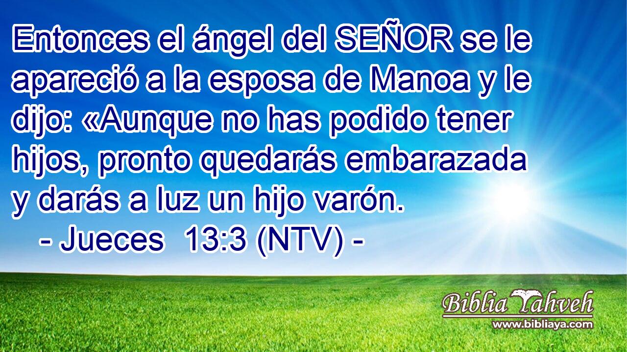 Entonces el ángel del SEÑOR se le apareció a la esposa de Manoa y le dijo: «Aunque no has podido tener hijos, pronto quedarás embarazada y darás a luz un hijo varón.