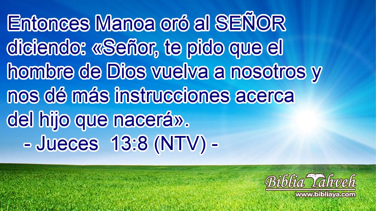 Entonces Manoa oró al SEÑOR diciendo: «Señor, te pido que el hombre de Dios vuelva a nosotros y nos dé más instrucciones acerca del hijo que nacerá».