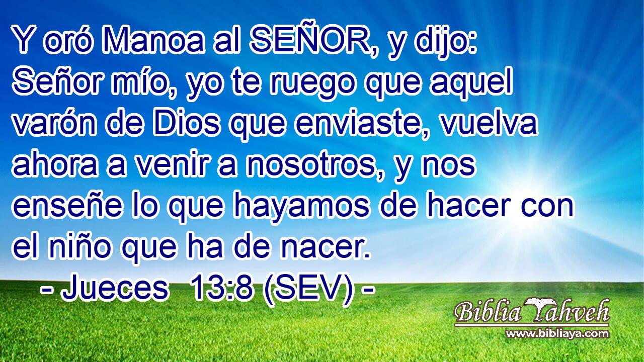 Y oró Manoa al SEÑOR, y dijo: Señor mío, yo te ruego que aquel varón de Dios que enviaste, vuelva ahora a venir a nosotros, y nos enseñe lo que hayamos de hacer con el niño que ha de nacer.