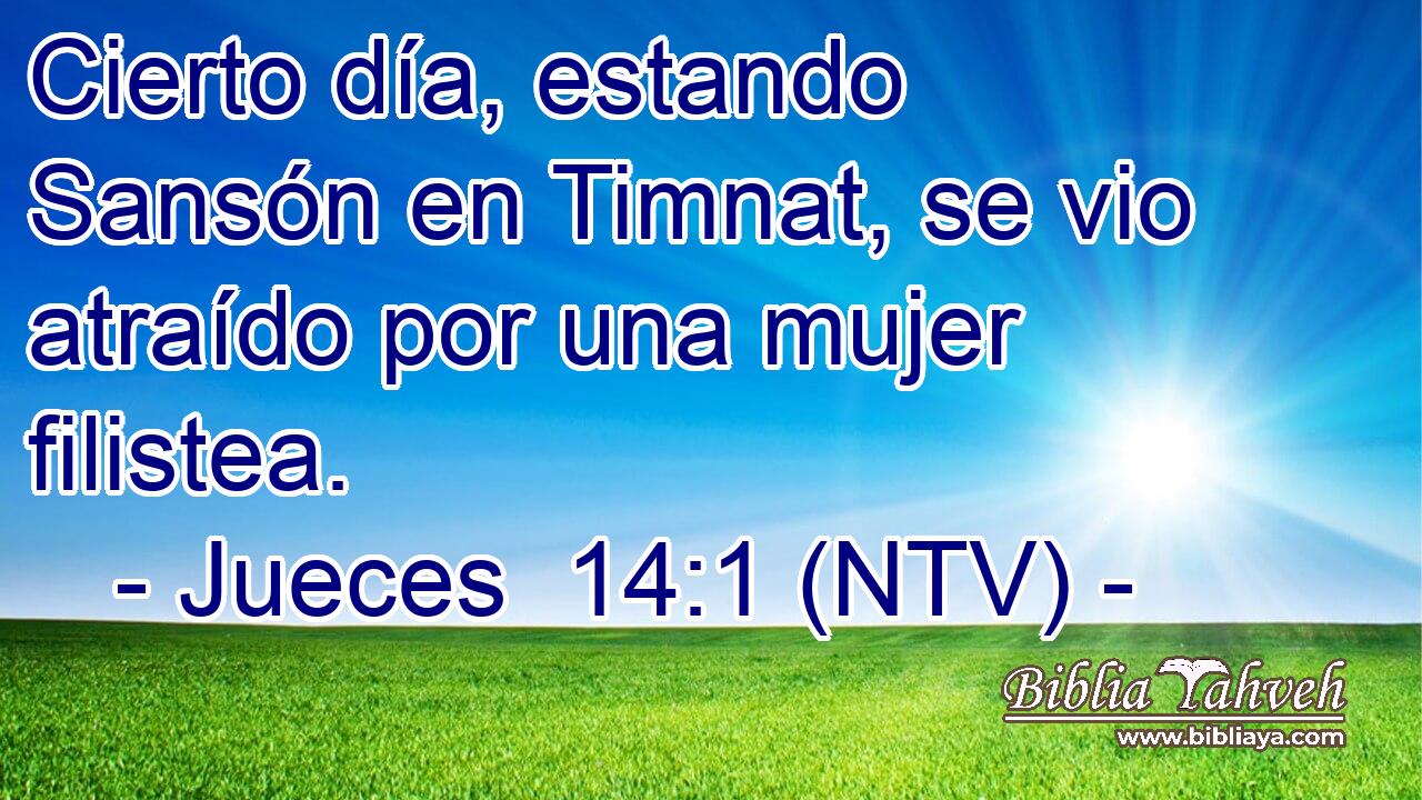 Cierto día, estando Sansón en Timnat, se vio atraído por una mujer filistea.